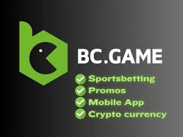 KYC in BC Game USA Understanding the Importance for Players KYC in BC Game USA Understanding the Importance for Players