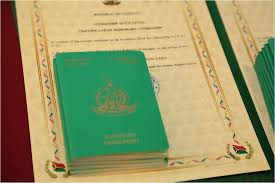 Understanding Vanuatu Passport Fees A Comprehensive Guide 888606330